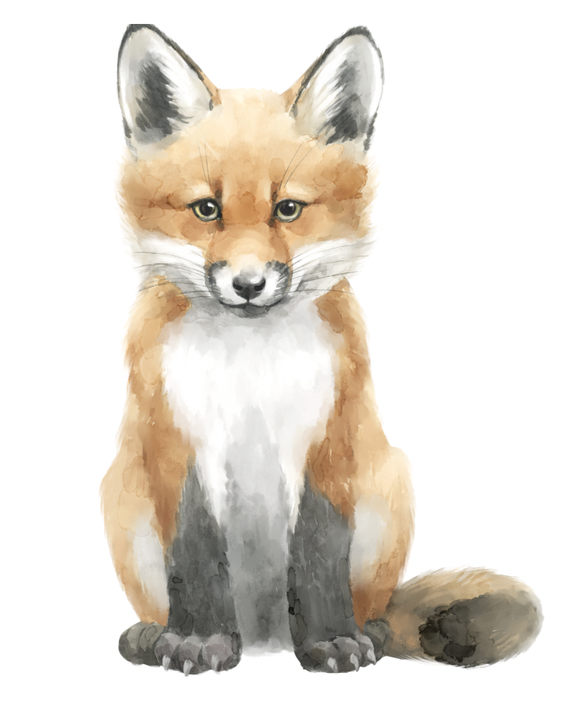 Woodland Fox Watercolor Art Print