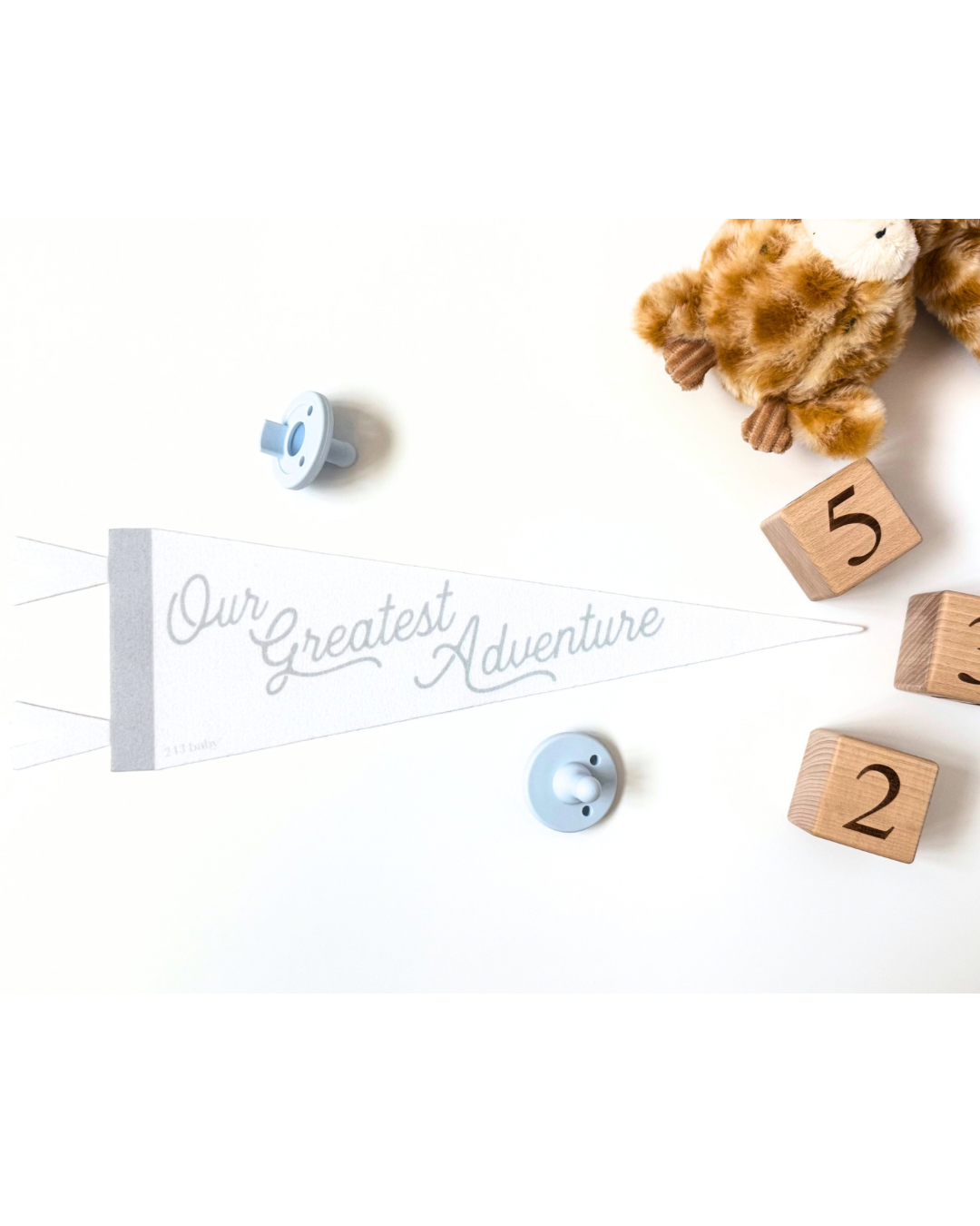 Baby Nursery Room Styles Inspiration