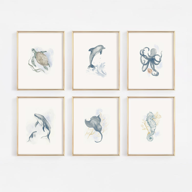 Coastal Nursery Collection