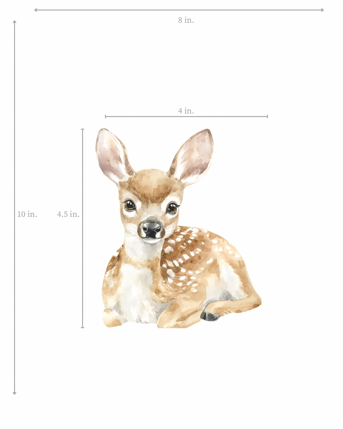 Illustration of a baby deer with dimensions on a white background