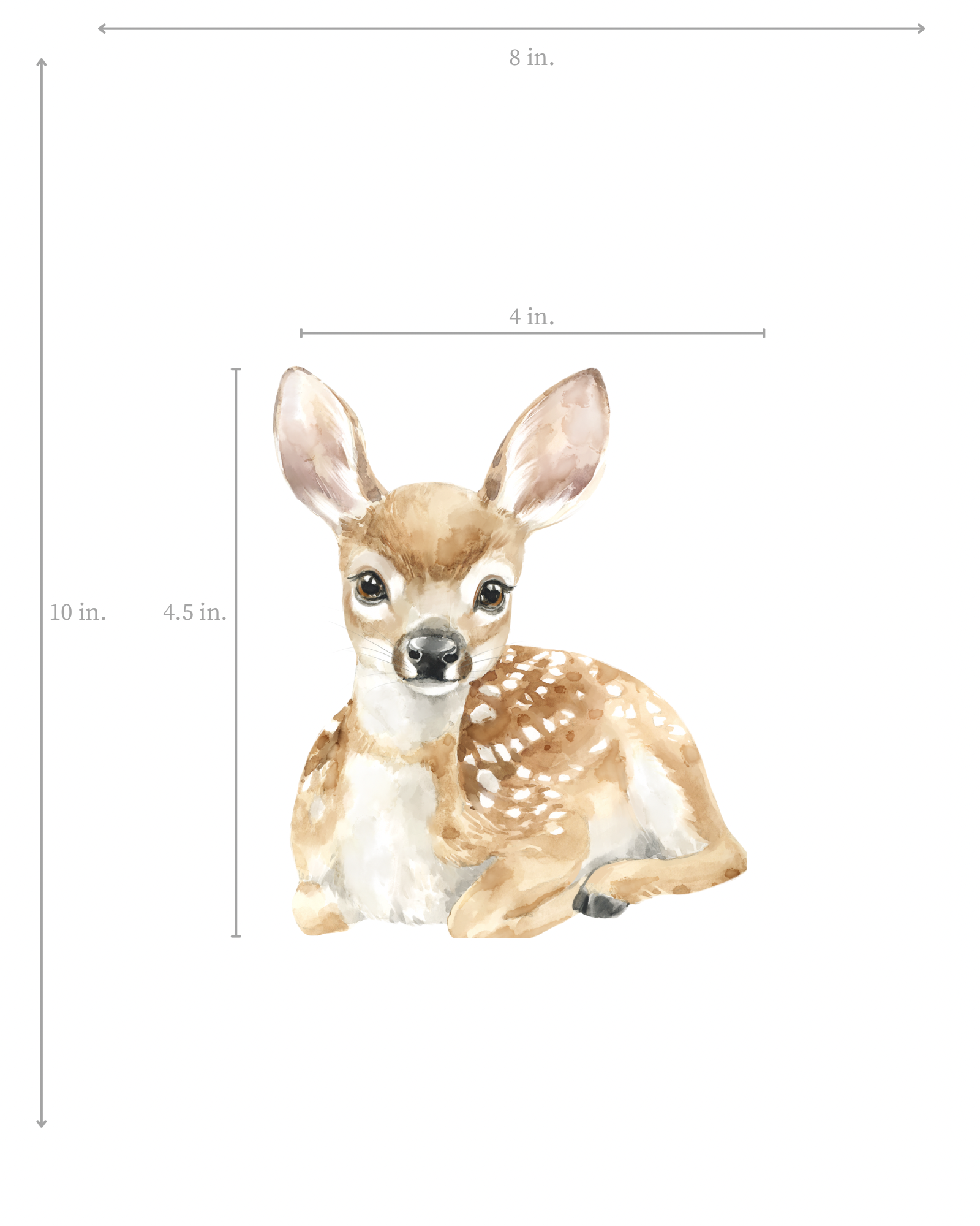 Illustration of a baby deer with dimensions on a white background