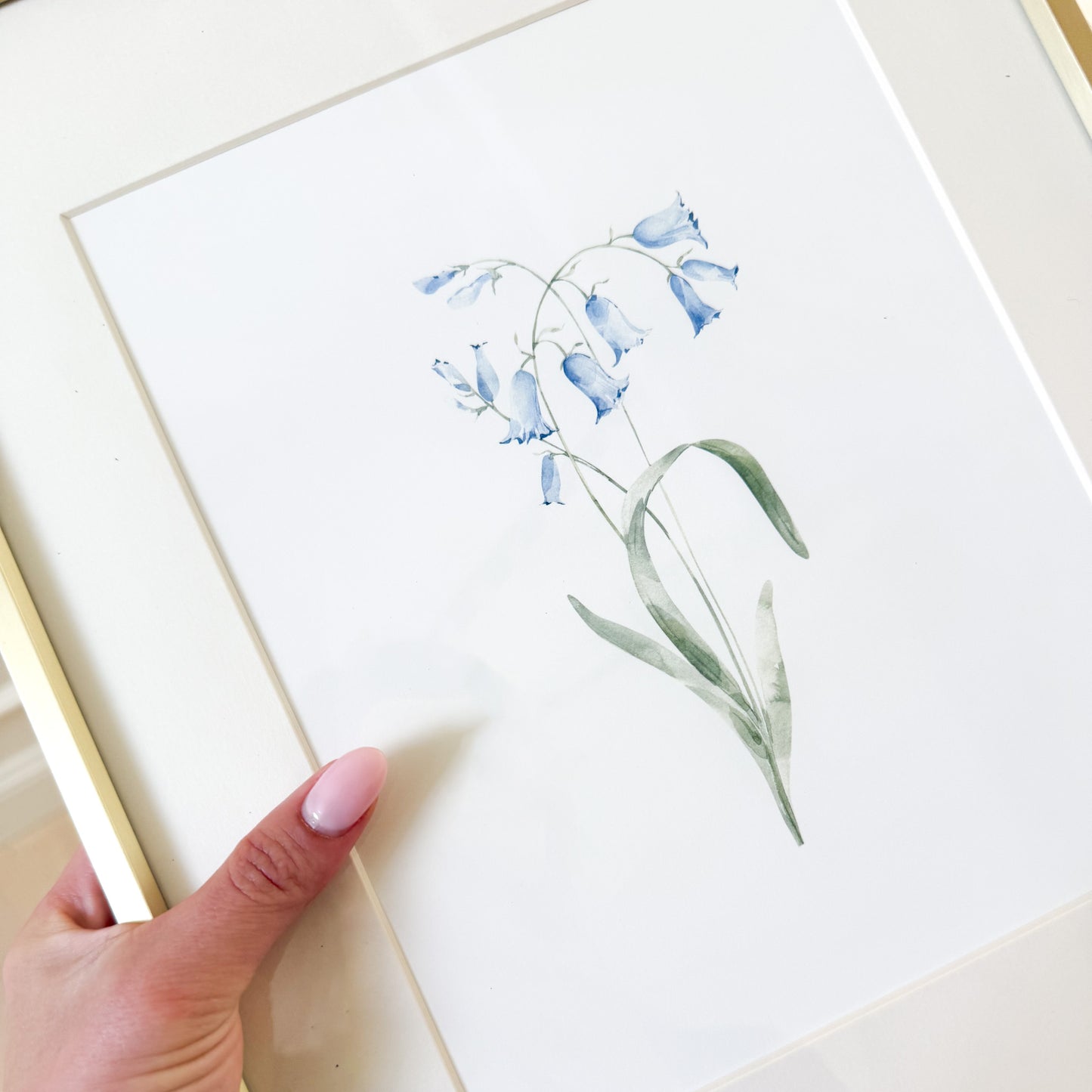 French dusty blue Bluebell wildflowers 