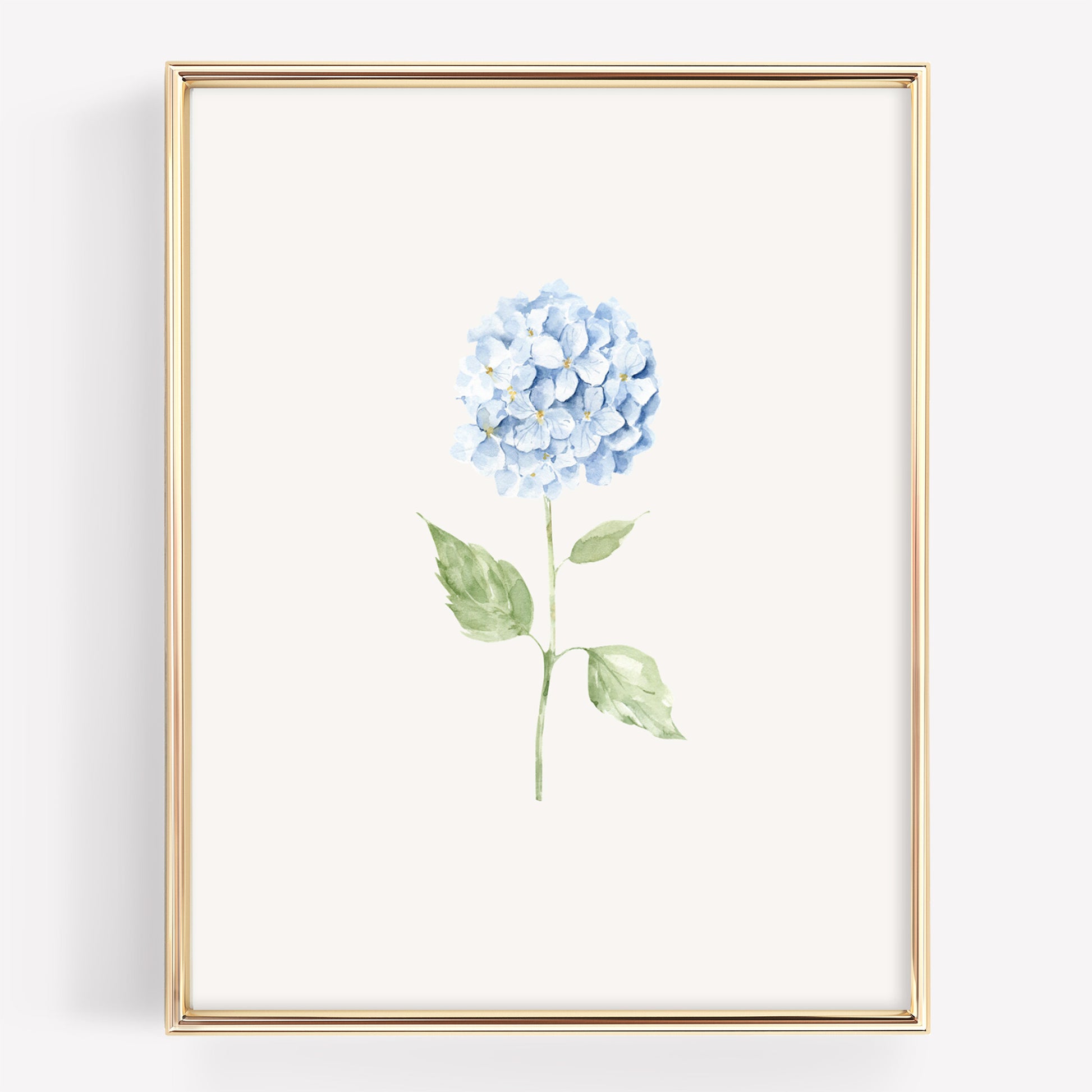 A framed botanical art print featuring a single light blue hydrangea flower with green leaves on an off-white background, enclosed in a thin gold frame.