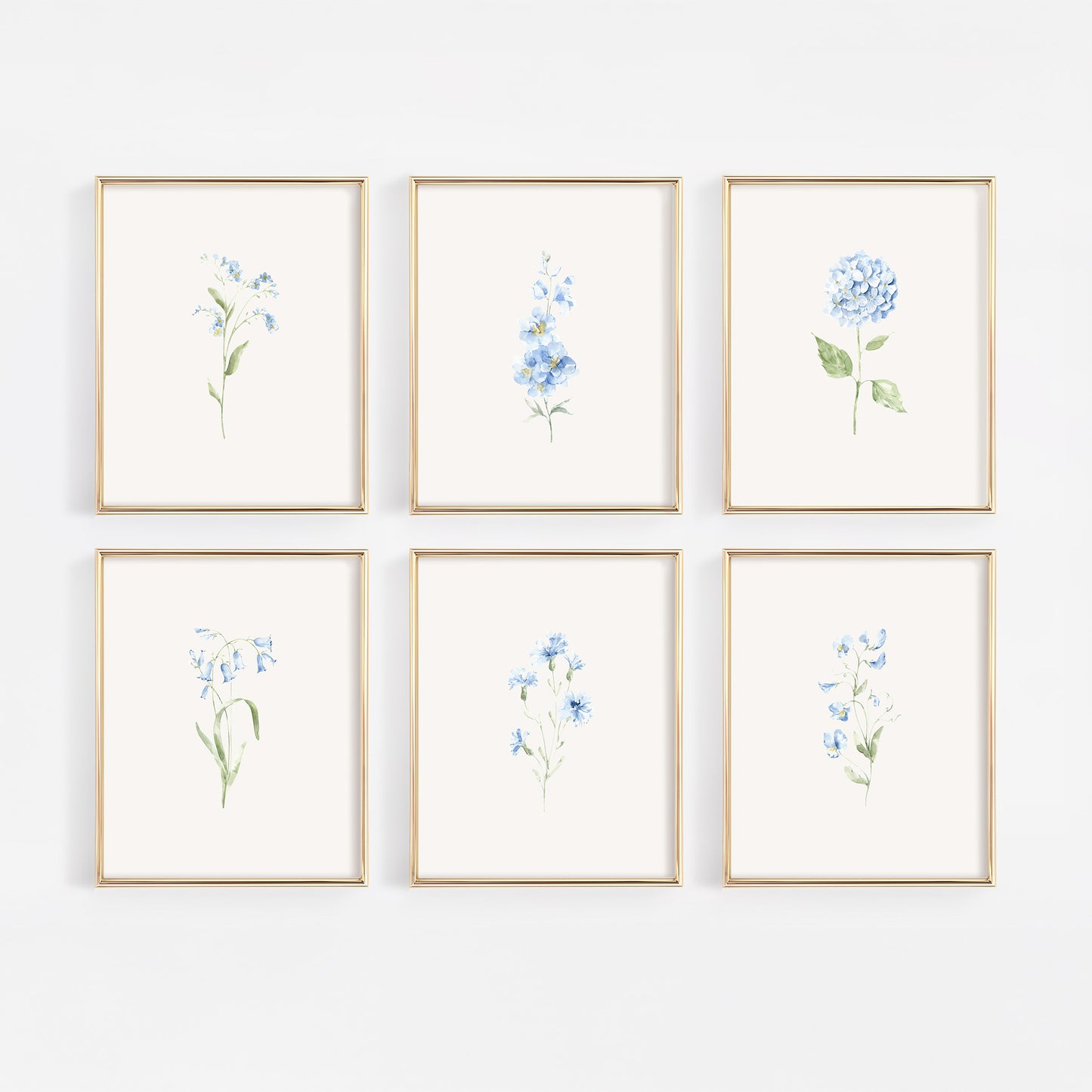 Set of 6 French blue botanical wildflower art prints in gold frames displayed on a warm off-white wall for a grandmillennial nursery gallery wall.