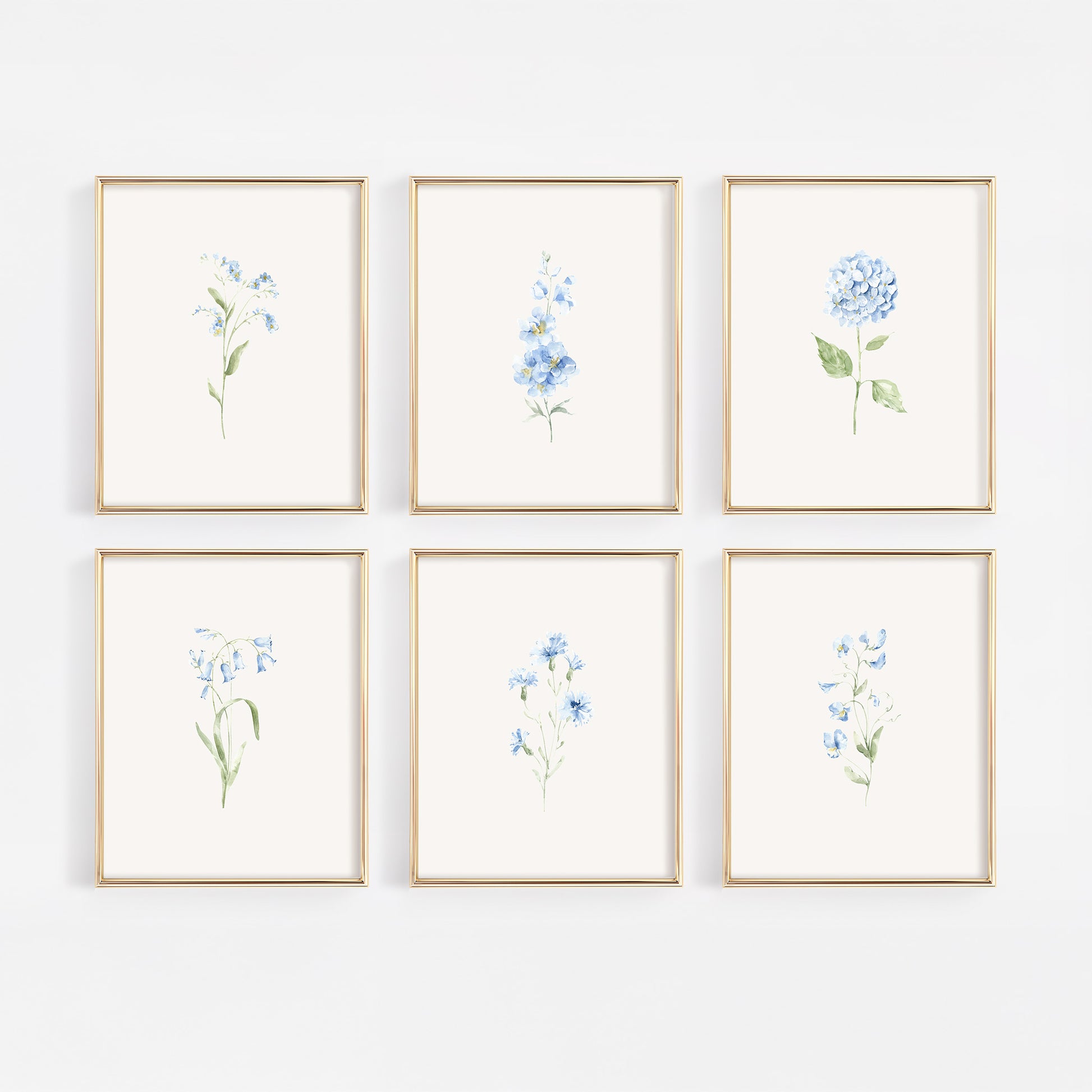 Set of 6 French blue botanical wildflower art prints in gold frames displayed on a warm off-white wall for a grandmillennial nursery gallery wall.