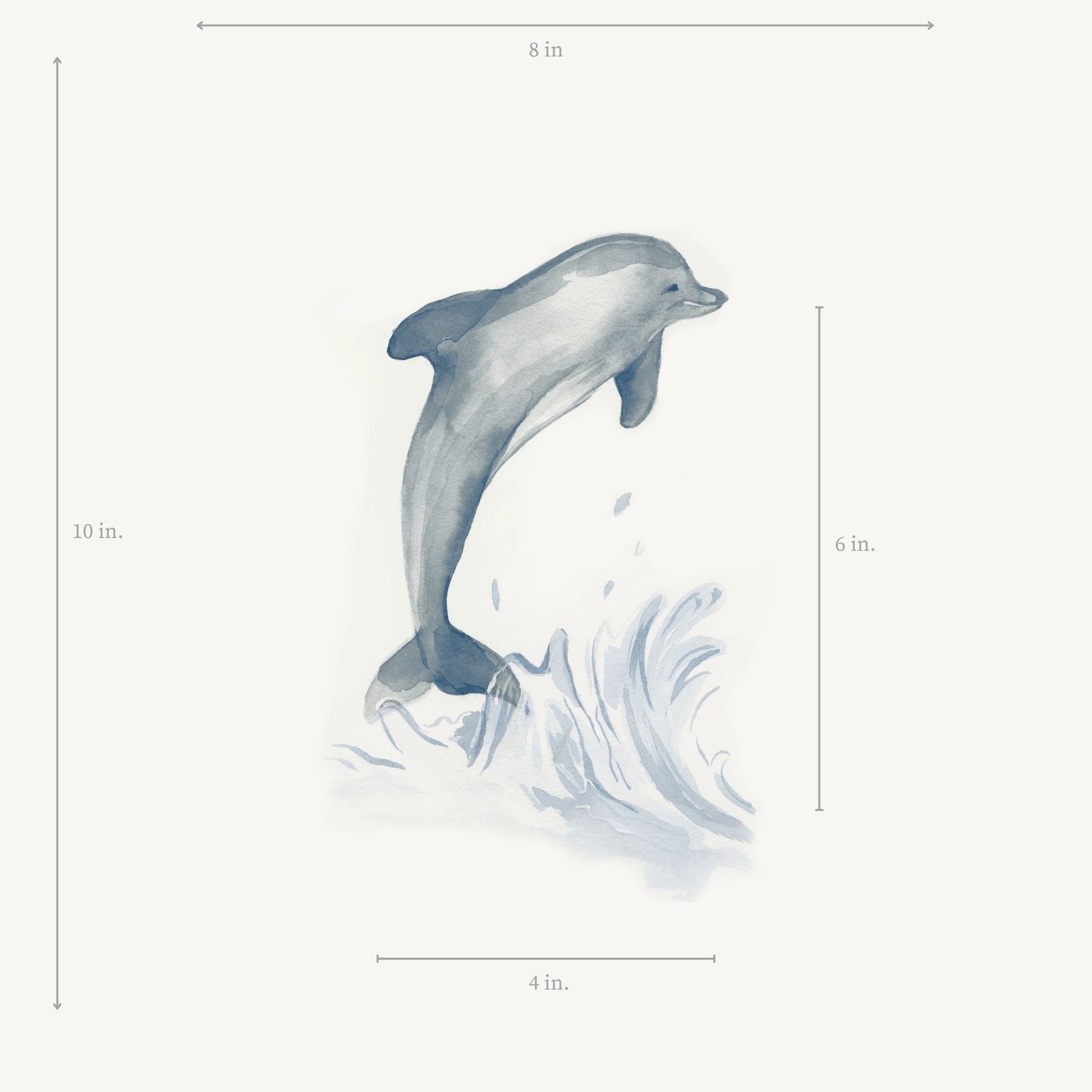 Size guide for a watercolor dolphin nursery print, showing the exact 8x10 inch dimensions and scale of the art on a sheet of paper.