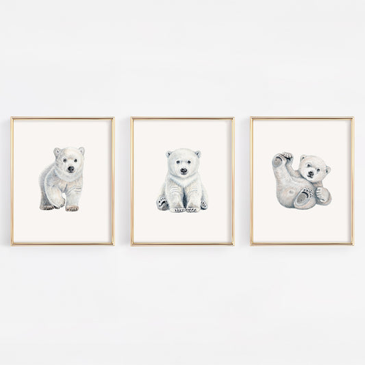 A set of three framed heirloom nursery art prints on a white wall, featuring realistic watercolor and pencil sketches of polar bear cubs in walking, sitting, and playful rolling poses.